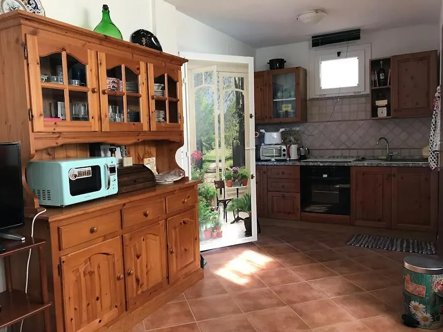 Dipladenia Villa Sassari Italy