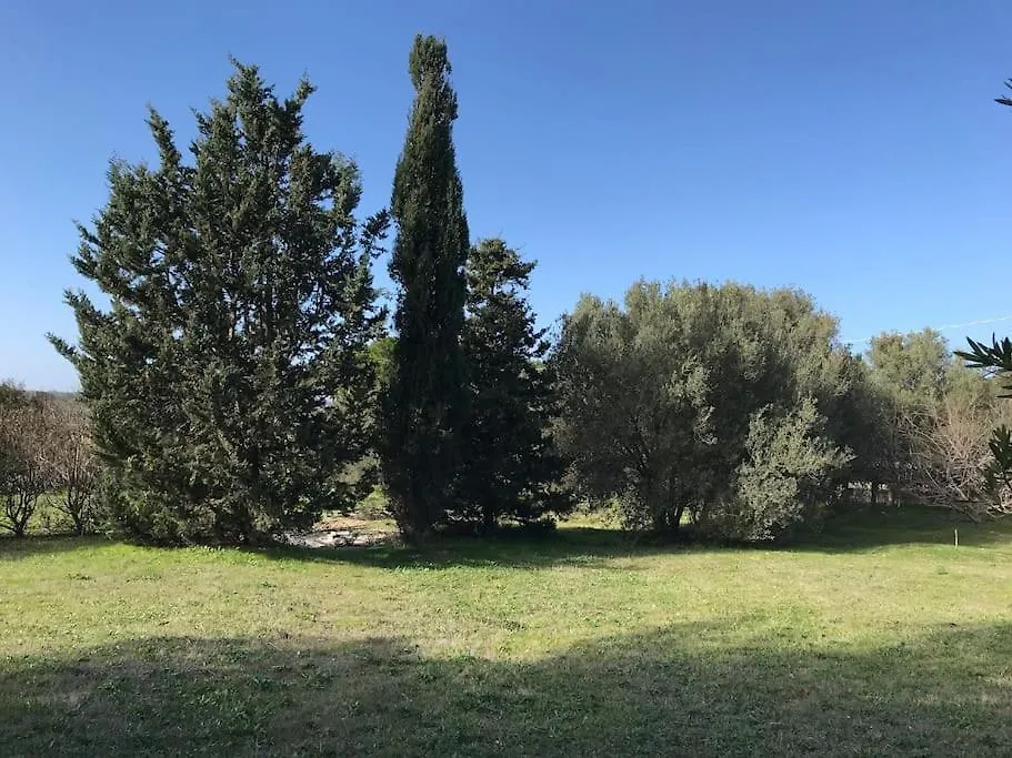 Dipladenia Villa Sassari 0*,  Italy