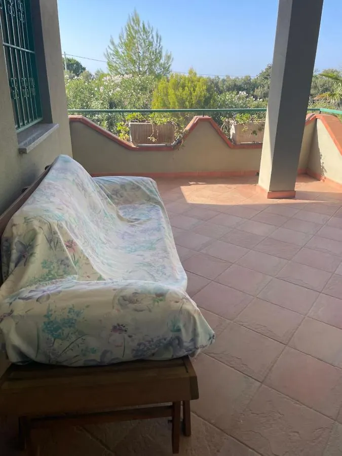 Dipladenia Villa Sassari