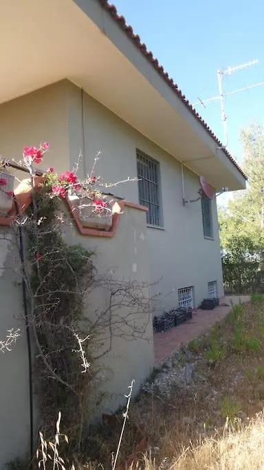 Tatil Evi Dipladenia Villa Sassari
